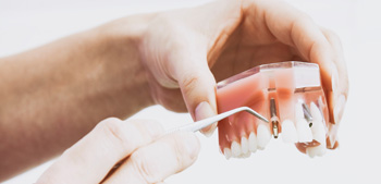 technik dentystyczny / protetyk